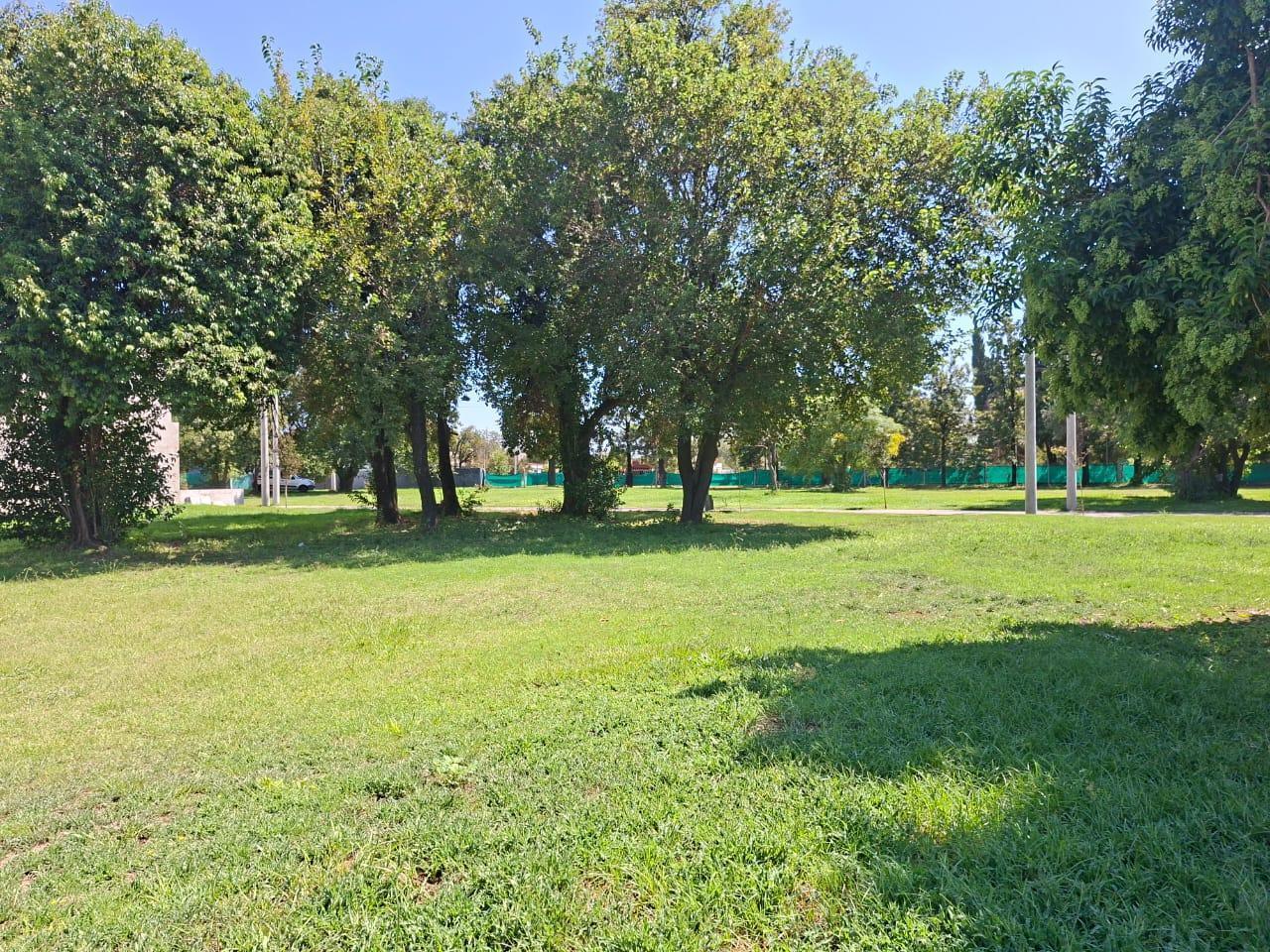Foto de Terreno en Tejas ll, imagen 5