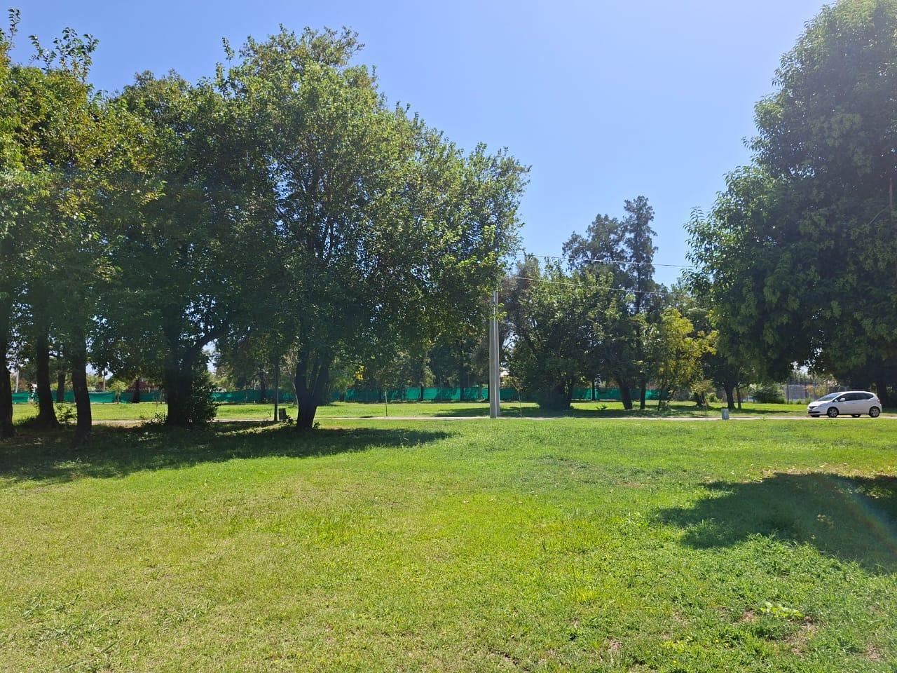 Foto de Terreno en Tejas ll, imagen 4