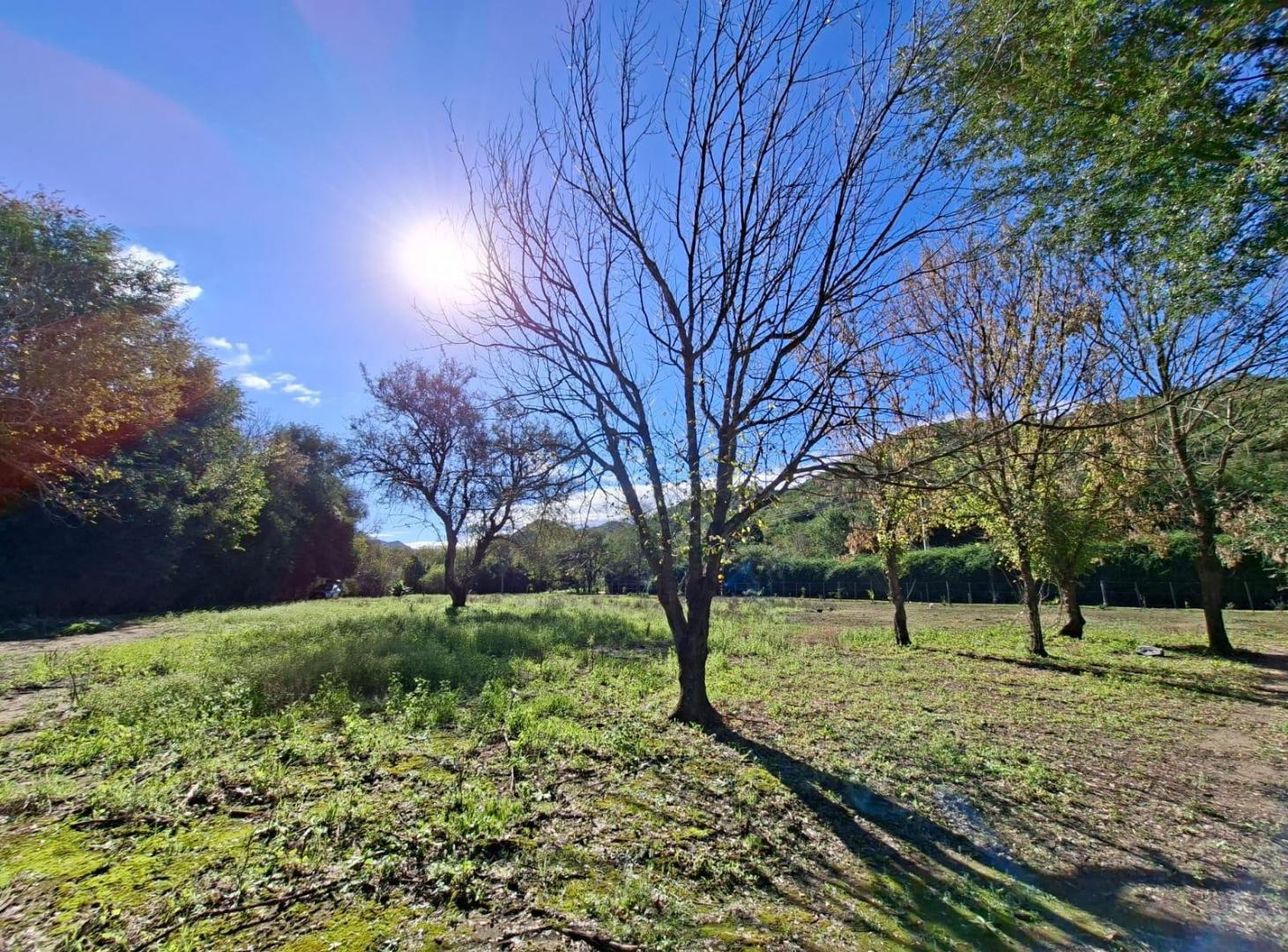 Foto de Terreno en El Potrerillo de Larreta, imagen 5