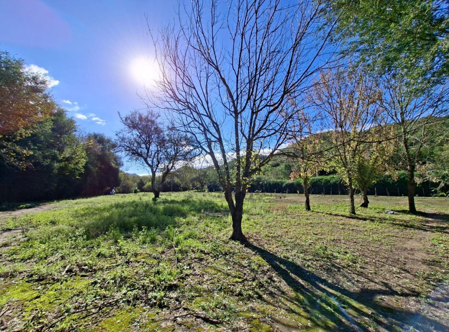 Foto de Terreno en El Potrerillo de Larreta, imagen 4