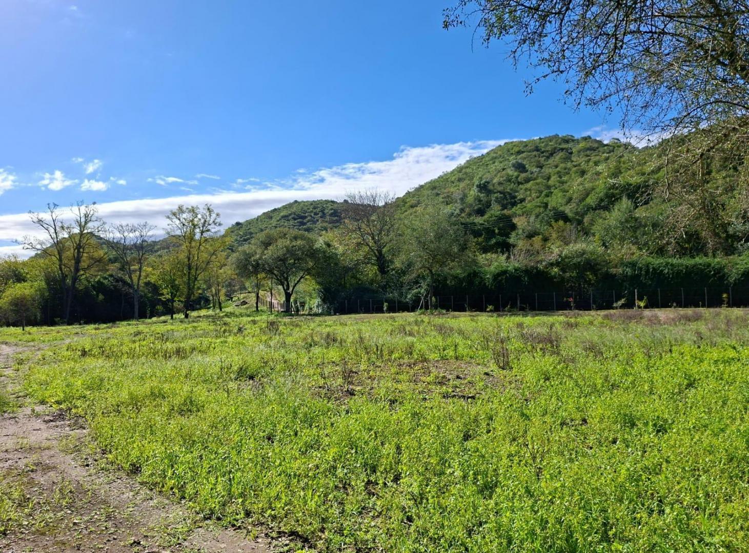 Foto de Terreno en El Potrerillo de Larreta, imagen 4