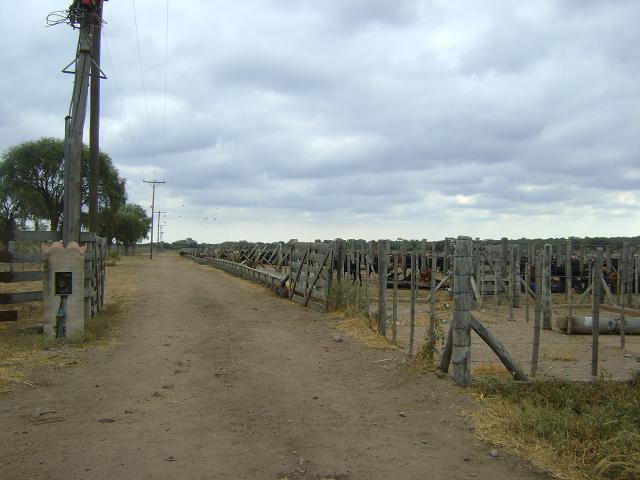 QUILINO,CAMPO GANADERO CON INSTALACIONES, 2700 Has