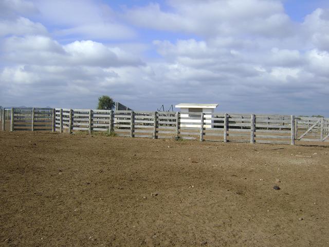 Foto de QUILINO,CAMPO GANADERO CON INSTALACIONES, 2700 Has, imagen 5