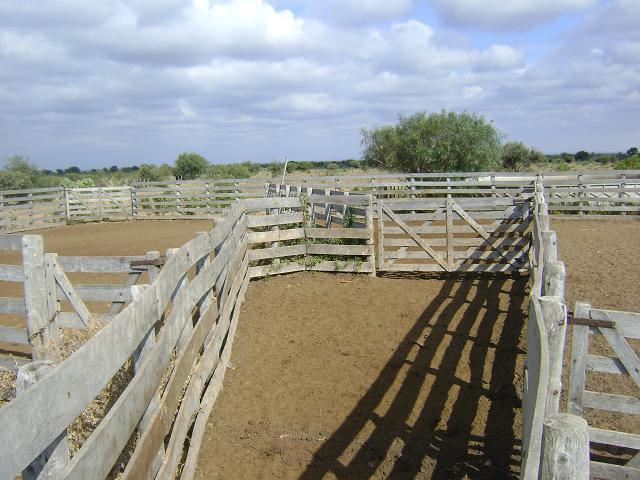 Foto de QUILINO,CAMPO GANADERO CON INSTALACIONES, 2700 Has, imagen 2