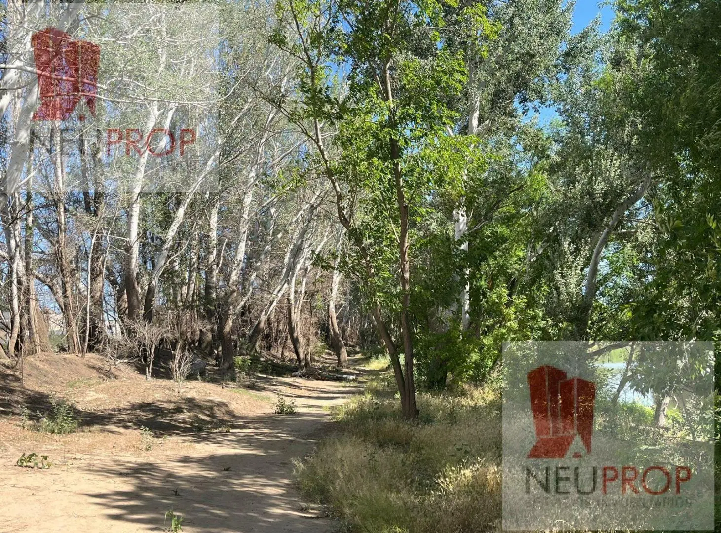 VENTA LOTE BARRIO BOTÁNICO LA RESERVA - PLOTTIER - NEUQUÉN 8