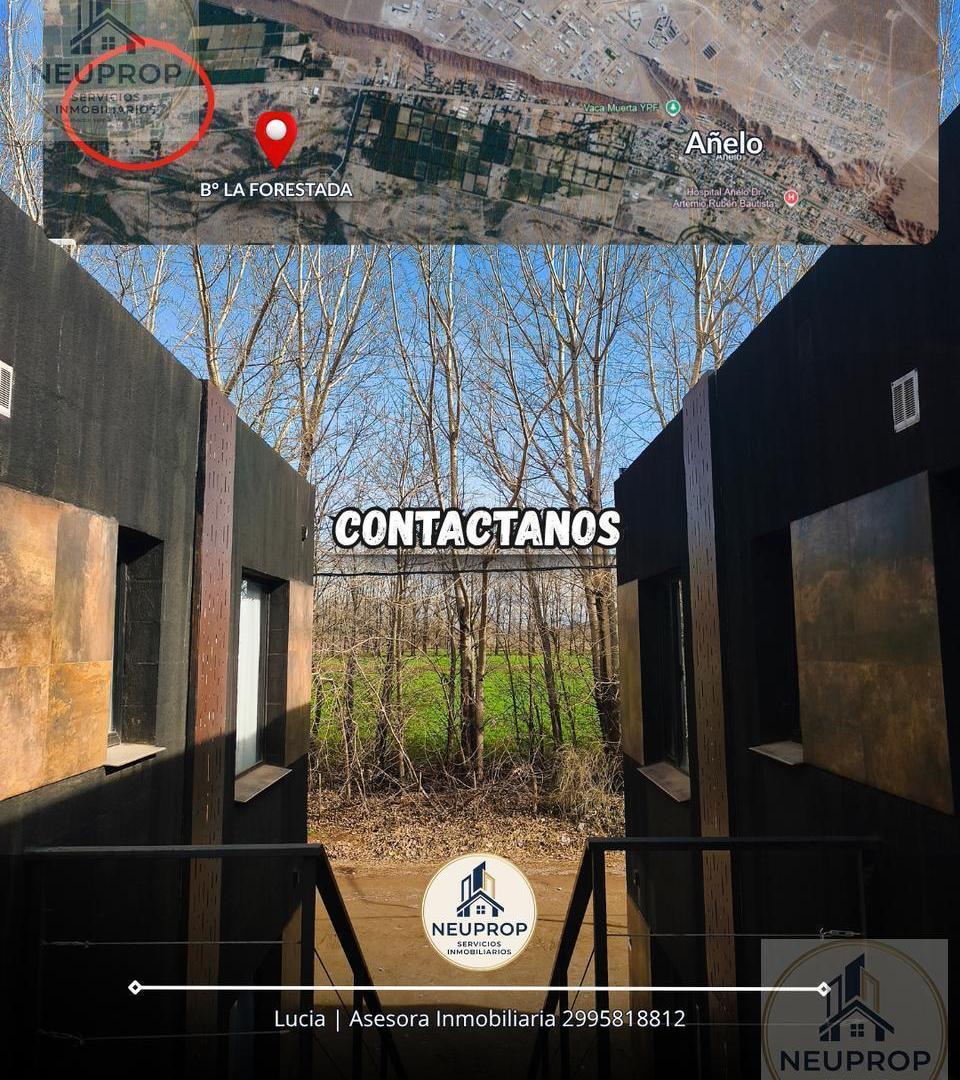 Foto de VENTA DEPARTAMENTO, imagen 5