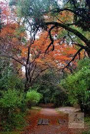 VENTA DE CAMPO EN ÑIRIHUAU- BARILOCHE