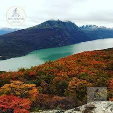 Foto de VENTA DE CAMPO EN ÑIRIHUAU- BARILOCHE, imagen 5