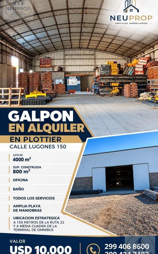 Foto de Galpón en Plottier, imagen 4