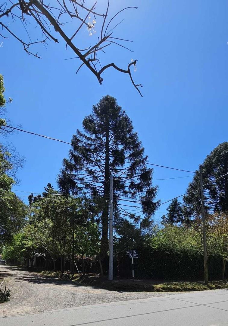 Foto de Terreno Lote en Venta en Ingeniero Maschwitz, Escobar, G.B.A. Zona Norte, imagen 3