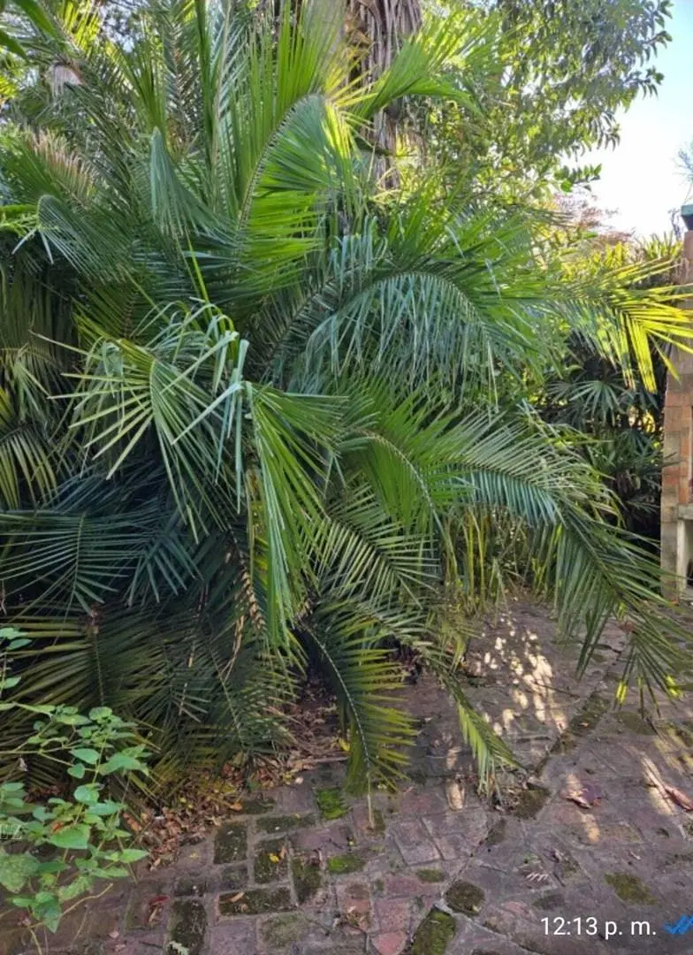 Casa  en Alquiler en Los Alamos, Pilar, G.B.A. Zona Norte 3