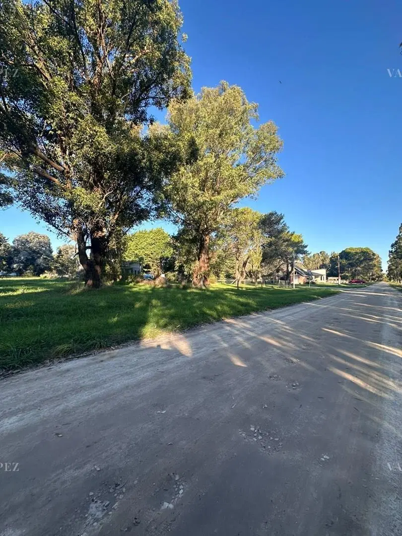Terreno Lote  en Venta en La Armonia, Mar Chiquita, Costa Atlántica 5