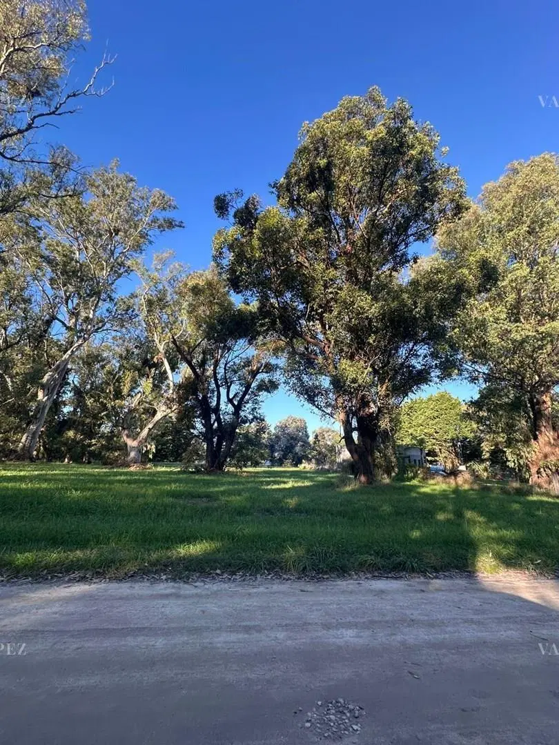 Terreno Lote  en Venta en La Armonia, Mar Chiquita, Costa Atlántica 8