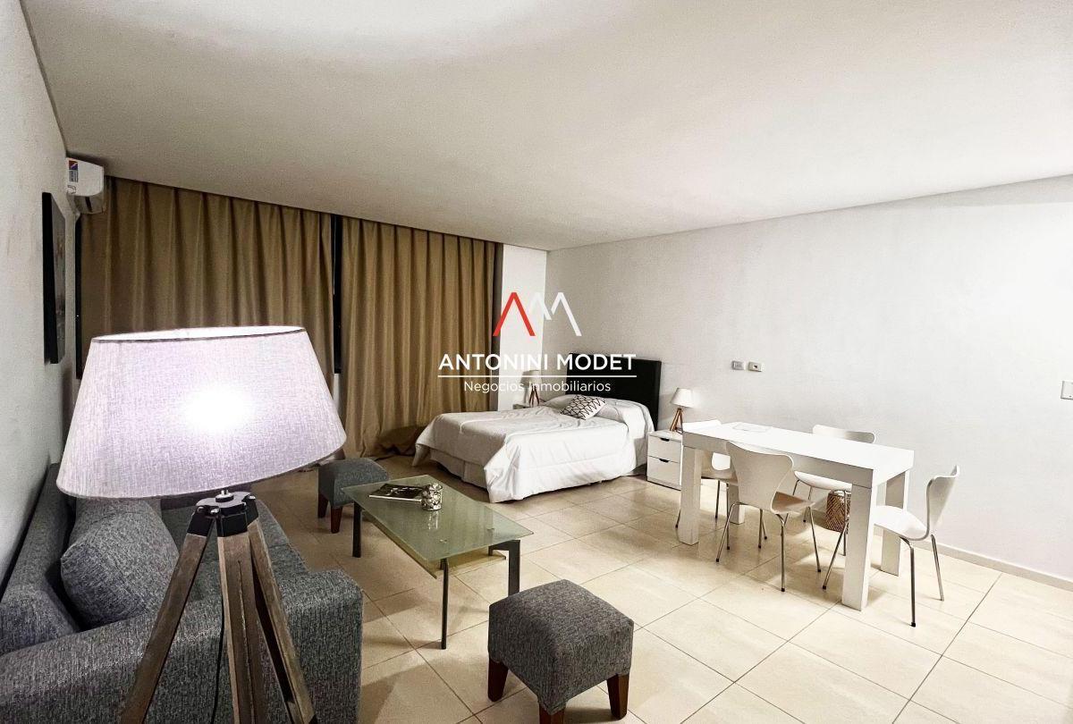 Foto de VENTA DE DEPARTAMENTO EN STUDIOS DE LA BAHIA - NORDELTA, imagen 5