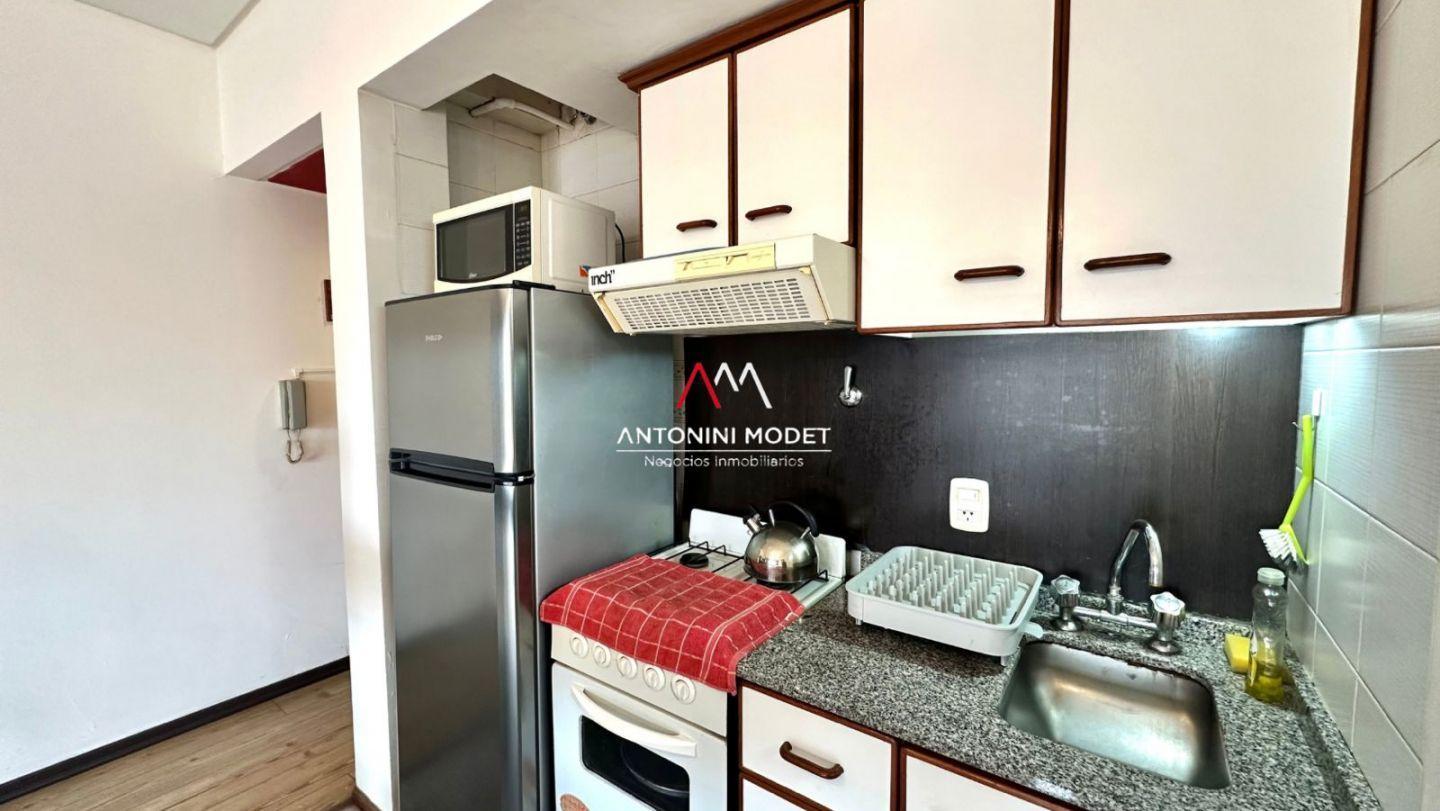 Foto de DEPARTAMENTO EN ALQUILER EN PALERMO, imagen 4