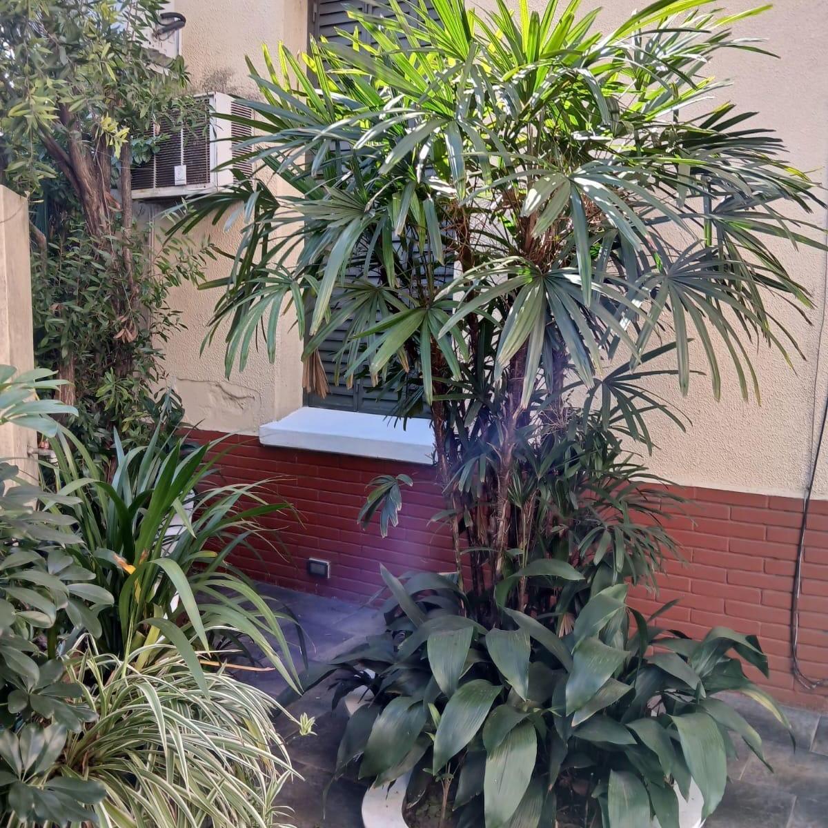Casa en Venta 4 Ambientes con Cochera Patio y Terraza. Lote Propio. 3