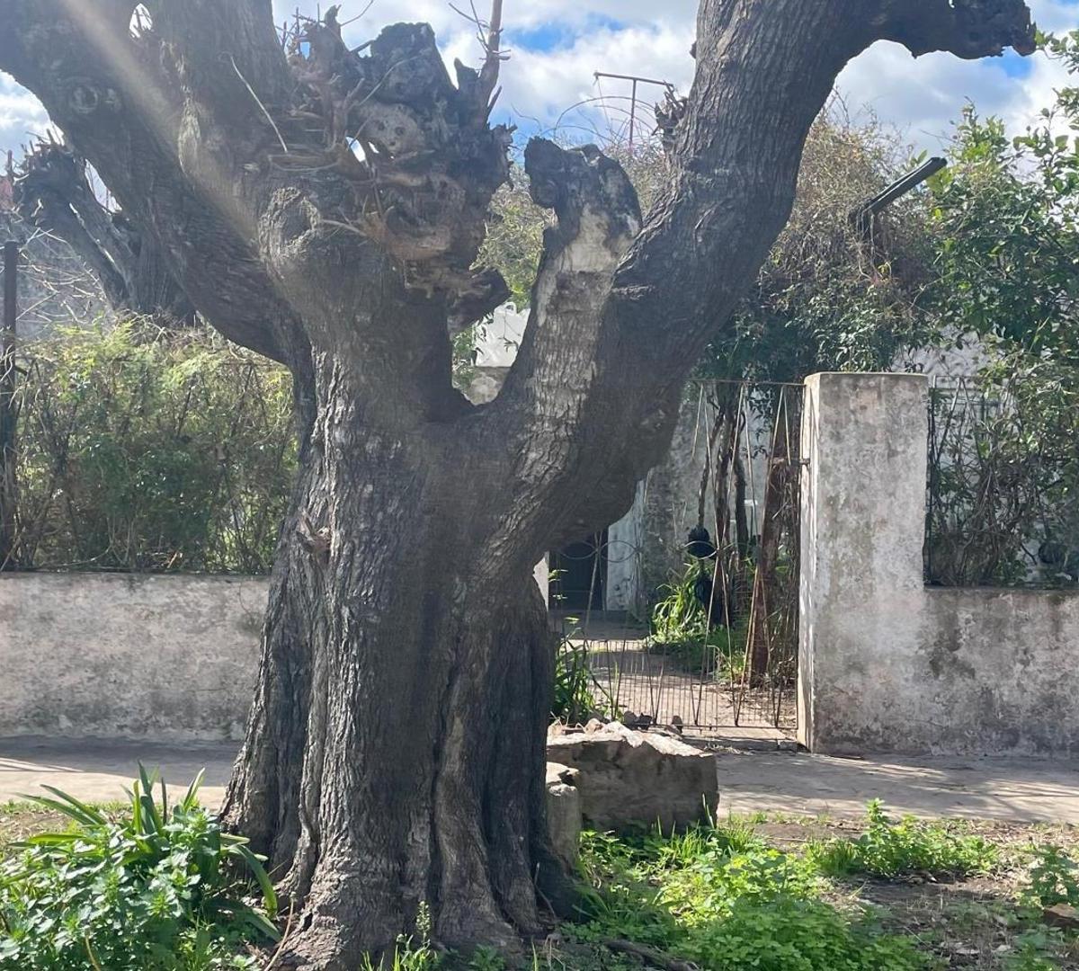 Casa de Tres Ambientes a La Venta en José C Paz 1