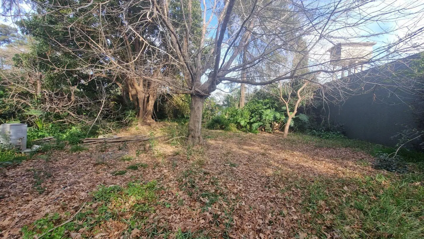 Lote . | Falucho al 1300 3