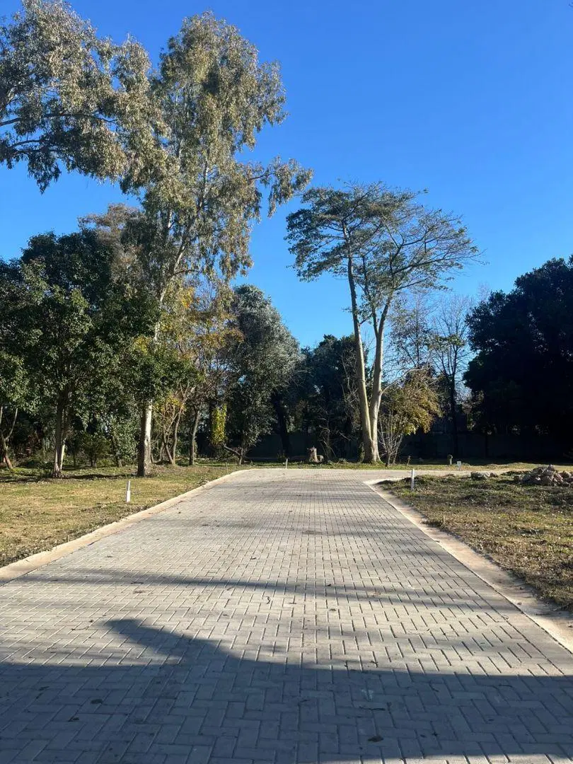 Lote . | Luis Maria Drago & C. Chacabuco 5