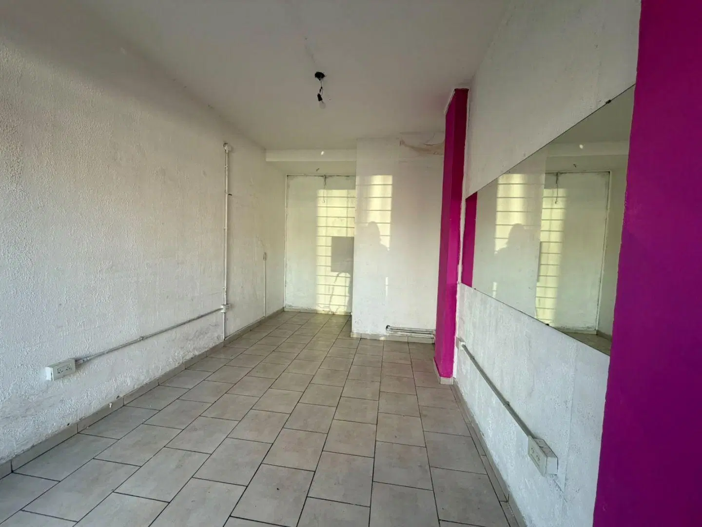 Local . | Pardo al 100 4