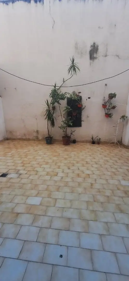Zeballos 957 Dpto 2 dorm c/patio 5