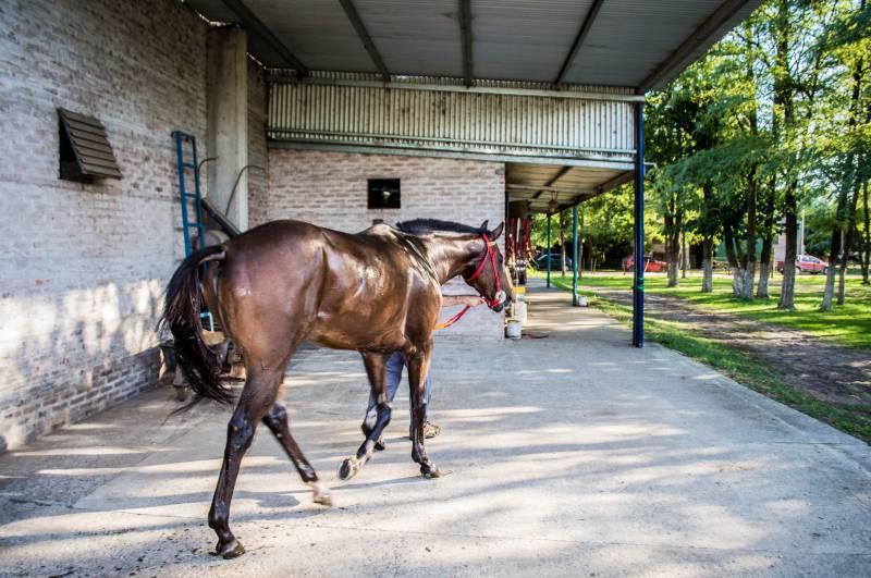 Galpon en Venta | Caballeriza 18 Boxer - Gral. Belgrano Buenos Aires 1