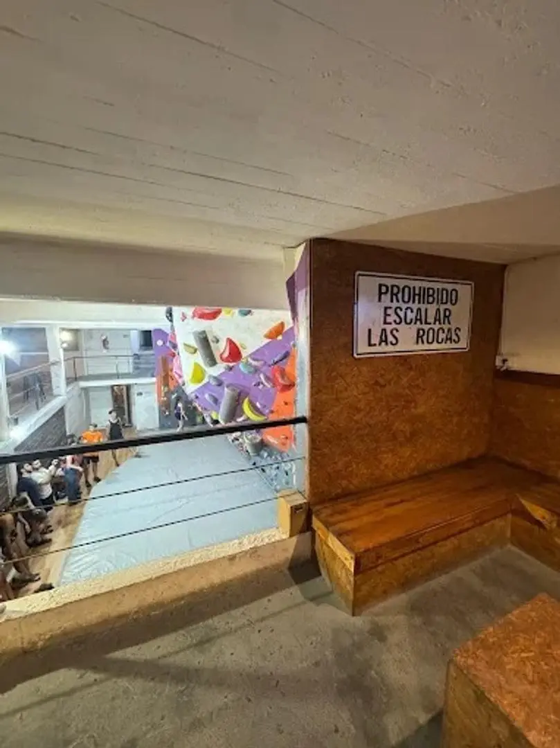 LOCAL PH CON EXCELENTE RENTA 500M2 SIN EXPENSAS 3