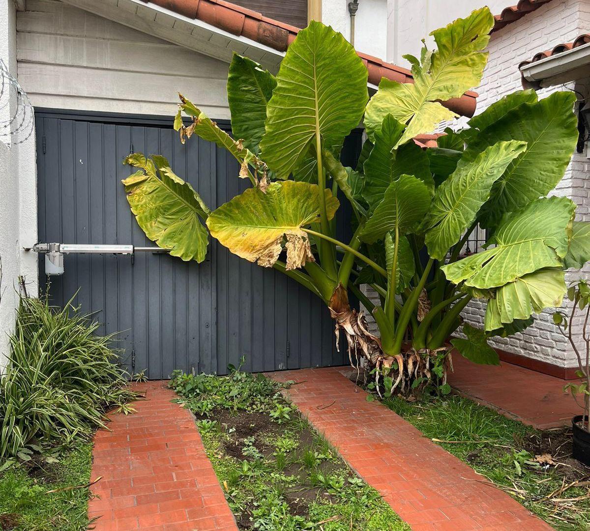 Foto de Casa Estilo Inglés de 6 Ambientes en Venta, imagen 5