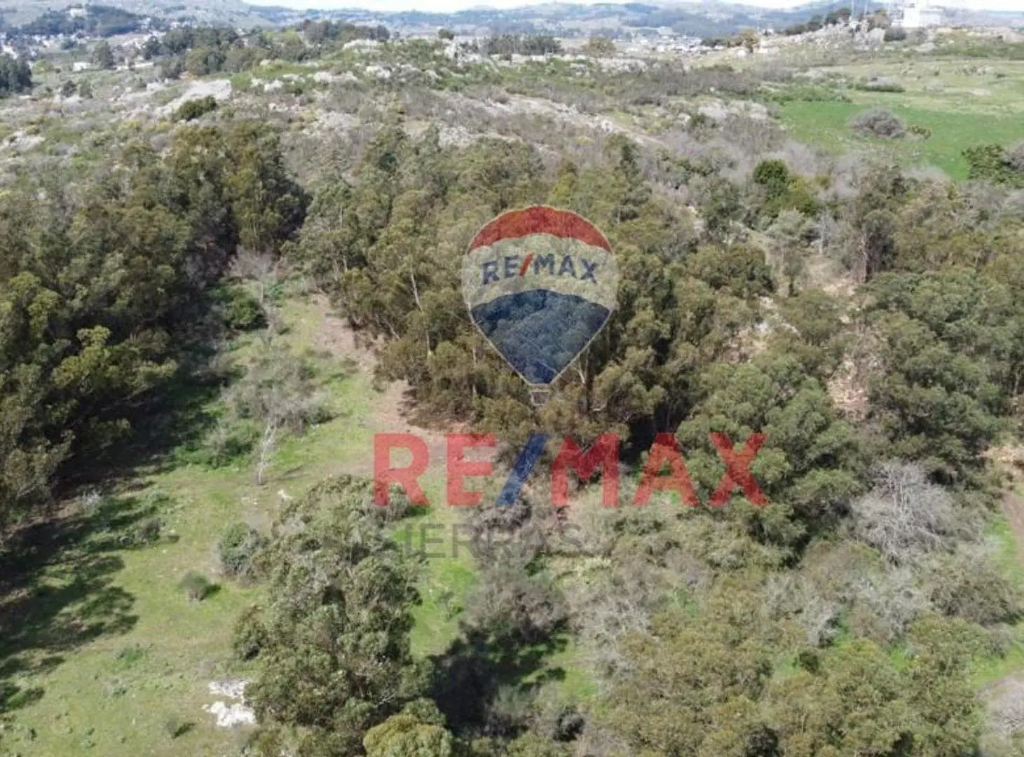 HECTAREAS EN VENTA CERRO LOS NOGALES TANDIL 5