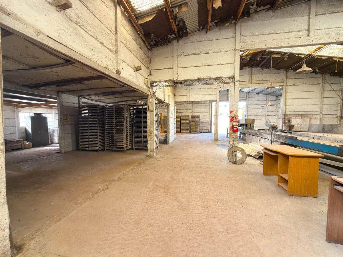 VENTA COMERCIAL AMPLIO GALPÓN EN TANDIL 2