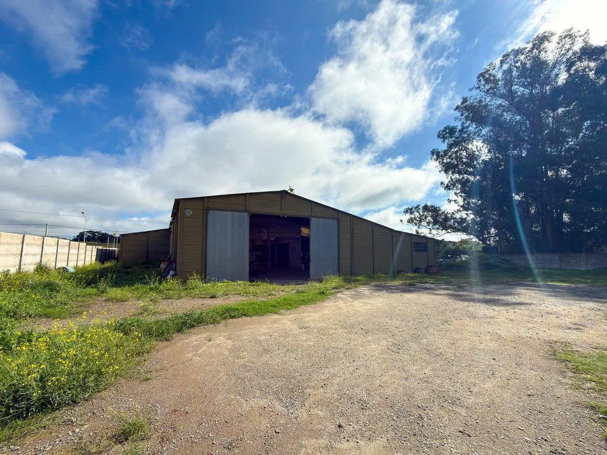 VENTA COMERCIAL AMPLIO GALPÓN EN TANDIL 5