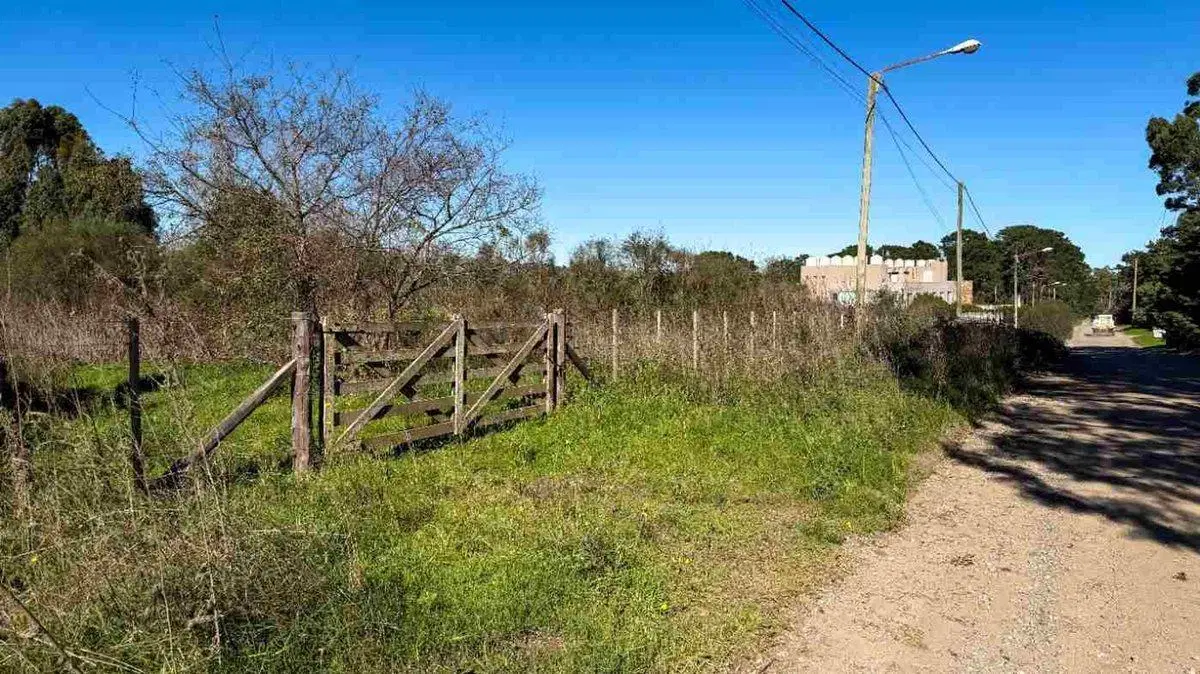 Importante Lote en Tandil de 10000m2 5