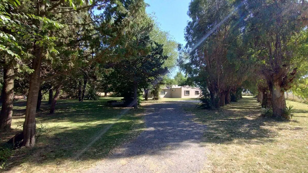 LOTE EN VENTA CON CONSTRUCCION Y PILETA OLAVARRIA 2