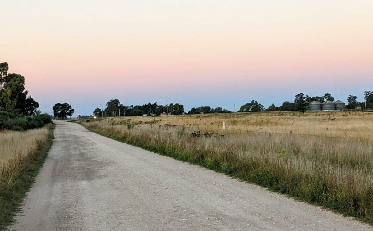 DOS HECTAREAS EN VENTA BENITO JUAREZ