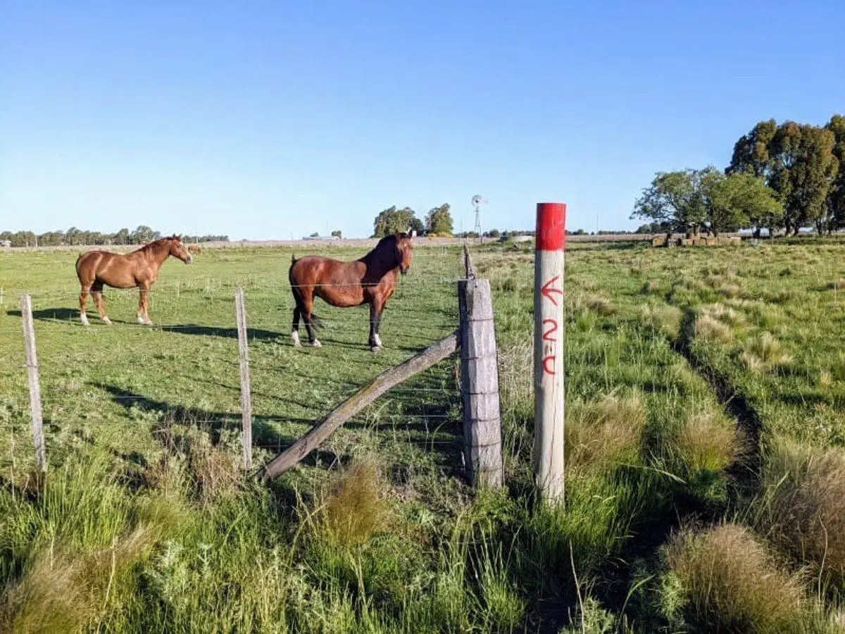DOS HECTAREAS EN VENTA BENITO JUAREZ 3