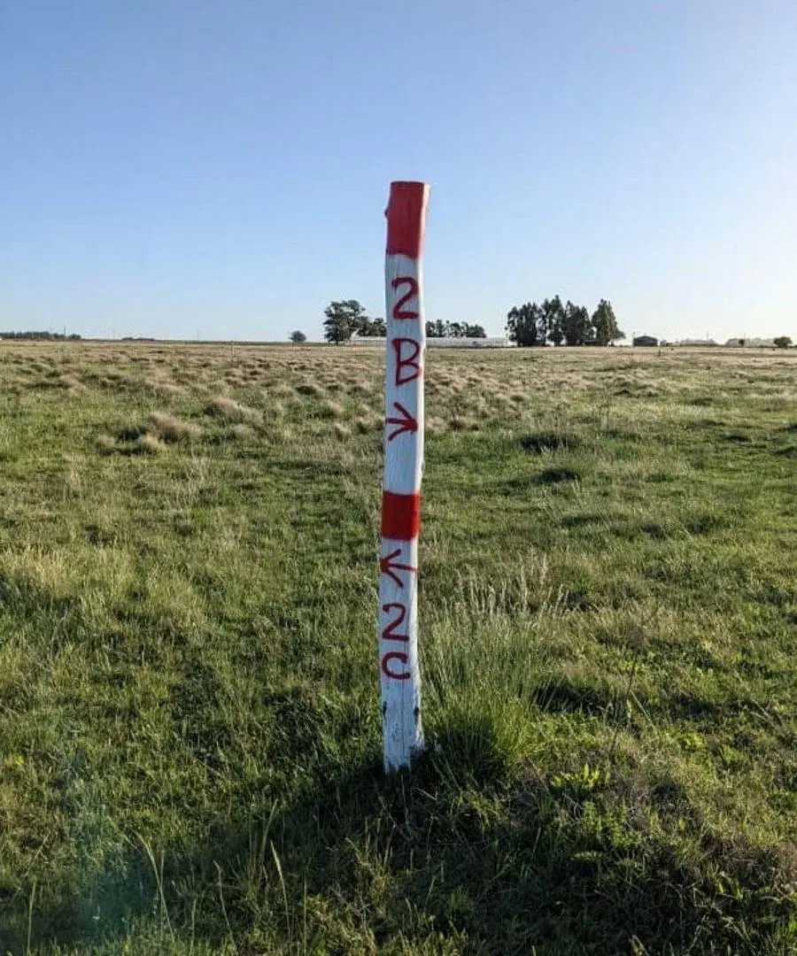 DOS HECTAREAS EN VENTA BENITO JUAREZ 2