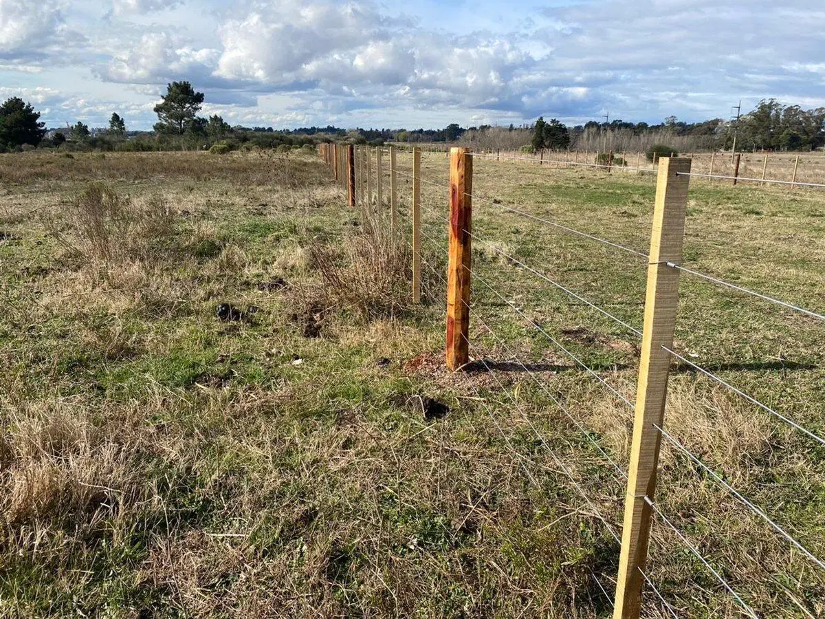 VENTA O PERMUTA AMPLIO LOTE EN CERRO LEONES TANDIL 3