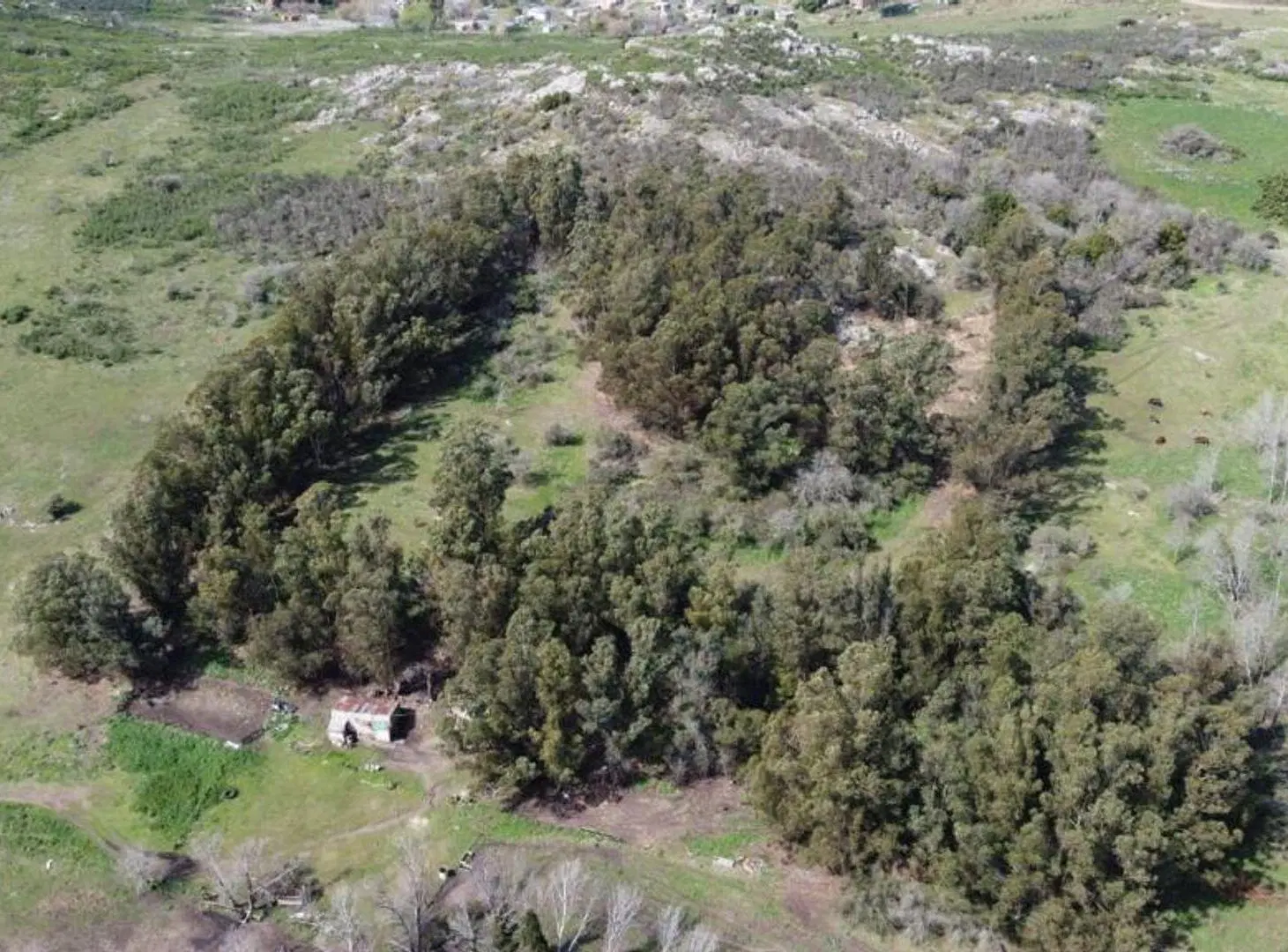 HECTAREAS EN VENTA CERRO LOS NOGALES TANDIL 2