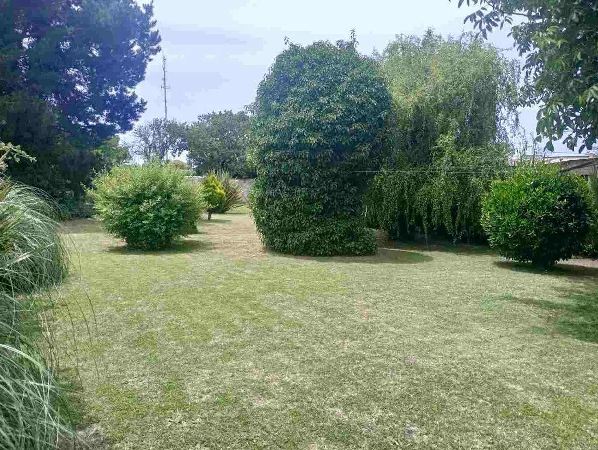 Venta casa tres dorm con jardin San Manuel Loberia 3