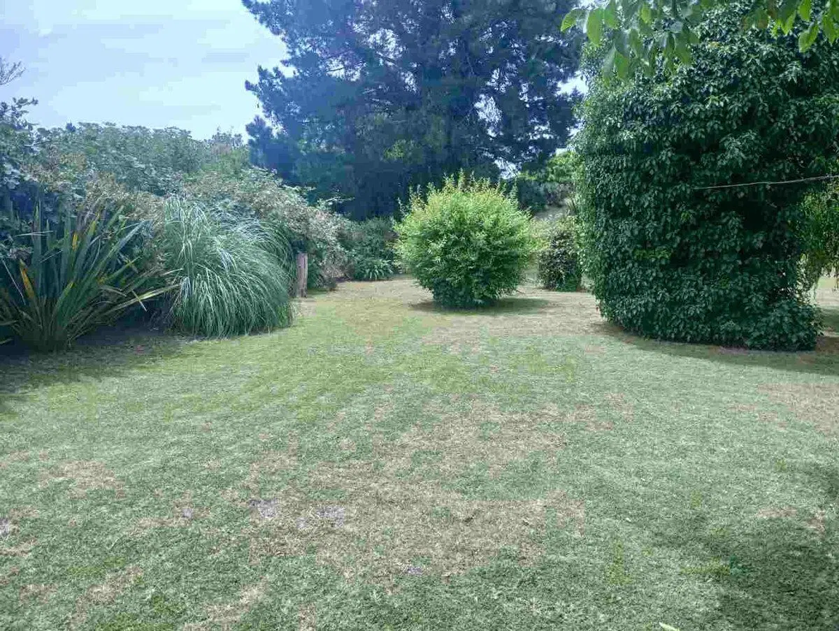 Venta casa tres dorm con jardin San Manuel Loberia 2
