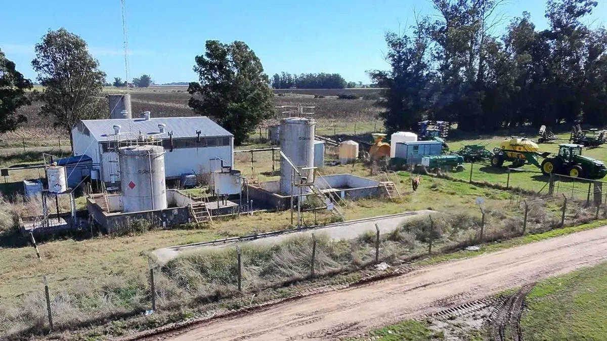VENTA DE PLANTA OLEAGINOSA EN LOBERÍA 3