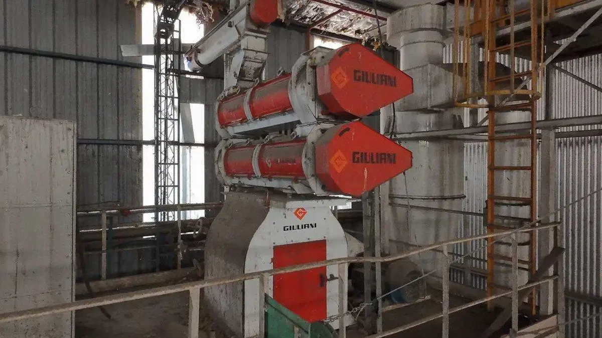VENTA DE PLANTA OLEAGINOSA EN LOBERÍA 4