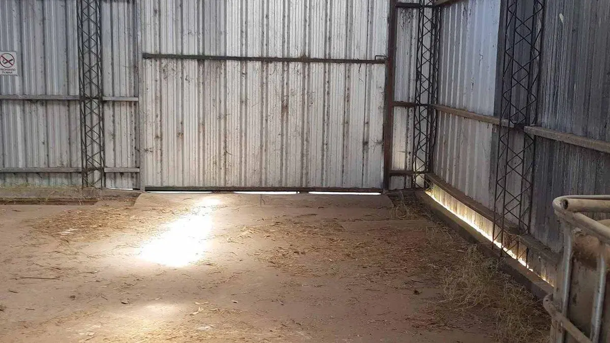 VENTA DE PLANTA OLEAGINOSA EN LOBERÍA 5