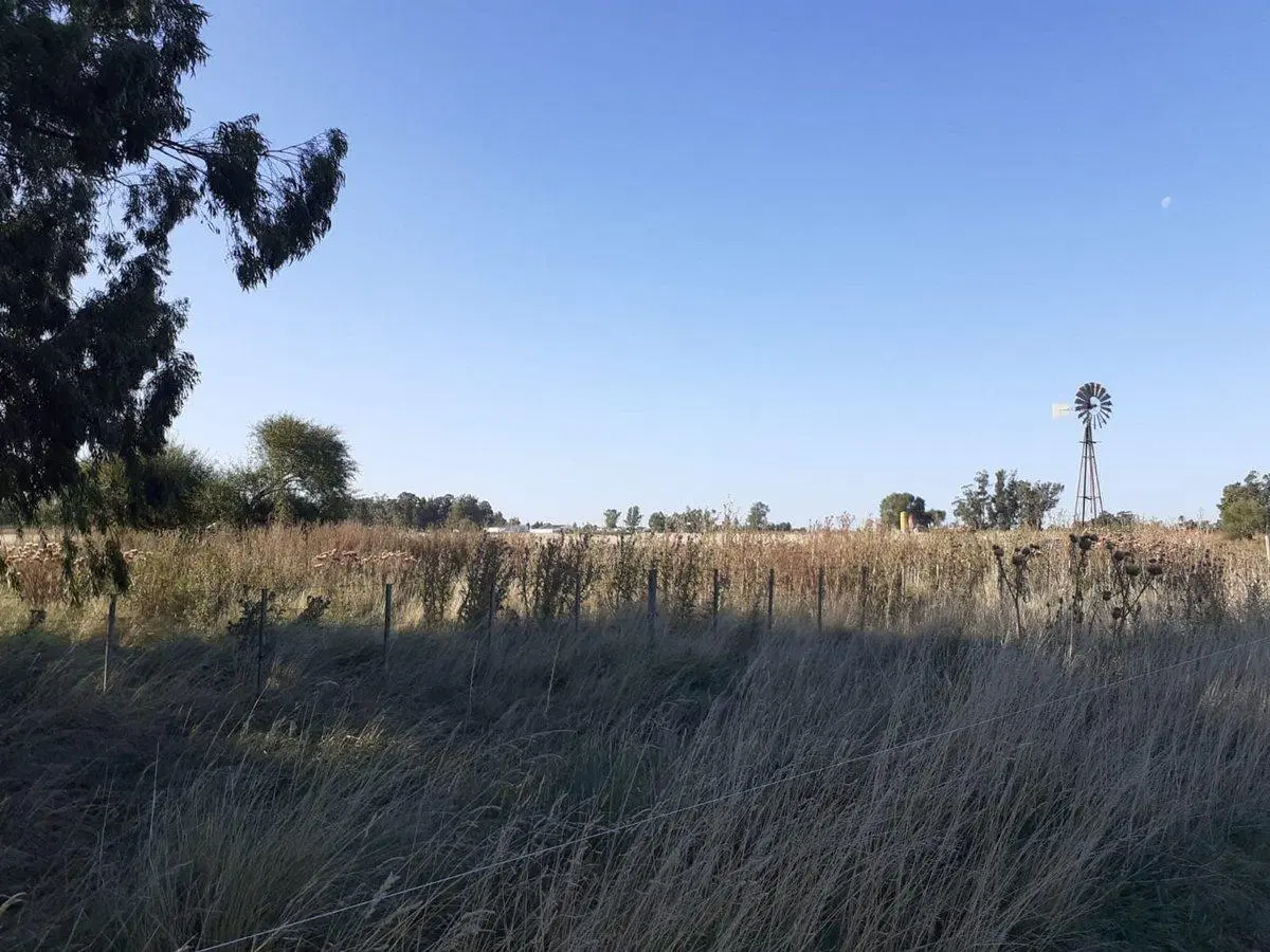 VENTA/PERMUTA 2 HECTAREAS - BENITO JUAREZ 2