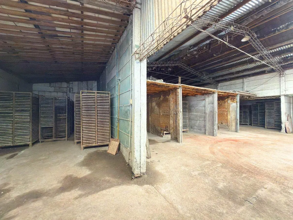 ALQUILER COMERCIAL AMPLIO GALPÓN EN TANDIL 8