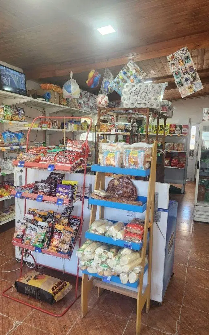 CASA CON NEGOCIO Y DEPARTAMENTO INTERNO 5