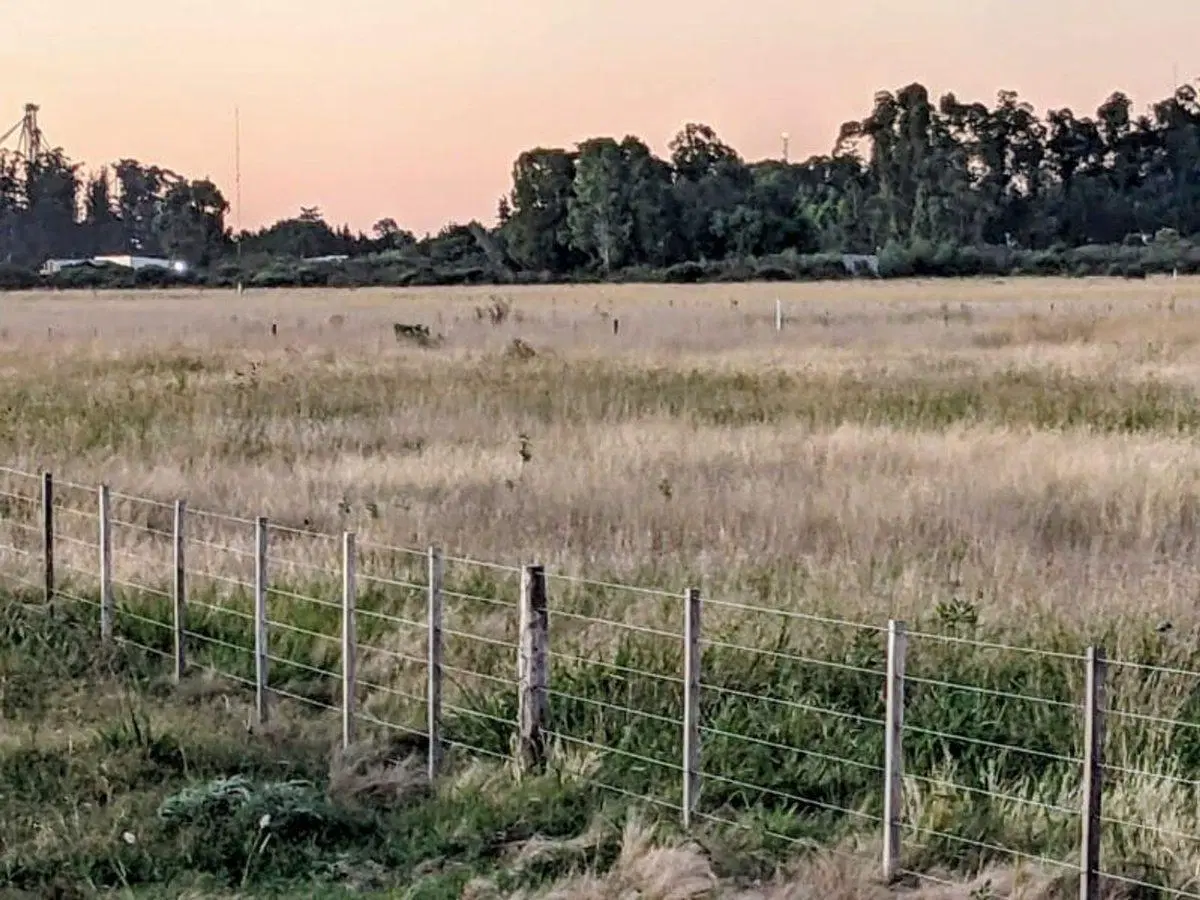 VENTA DOS HECTAREAS BENITO JUAREZ - FINANCIACION 5
