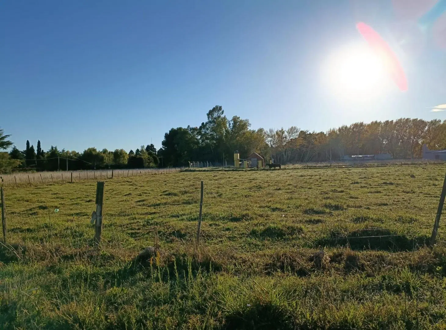 LOTE EN VENTA ZONA PALO DE COLORES OLAVARRIA 2