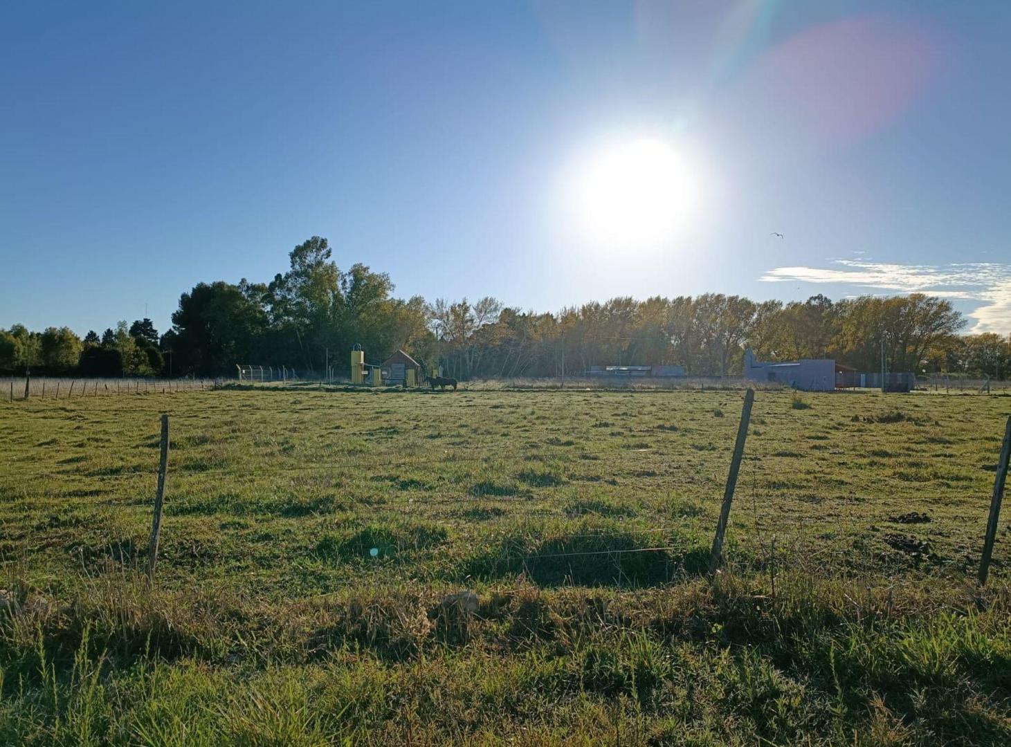 Foto de LOTE EN VENTA ZONA PALO DE COLORES OLAVARRIA, imagen 1