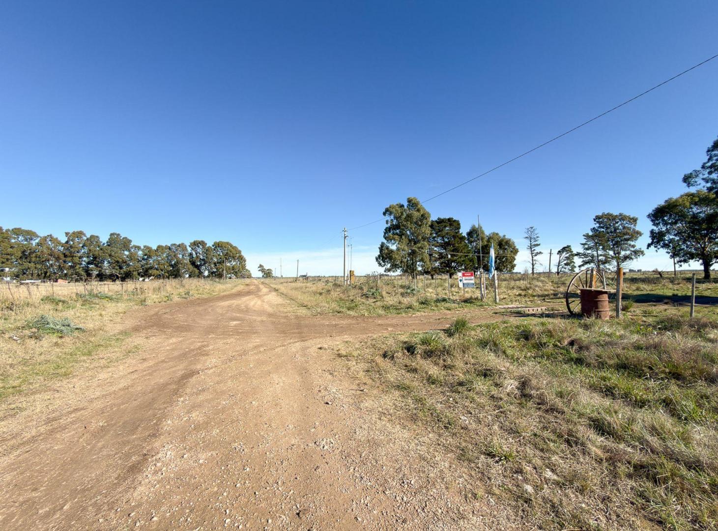 Foto de VENTA CHACRA 20 HECTÁREAS EN DE LA GARMA, imagen 4